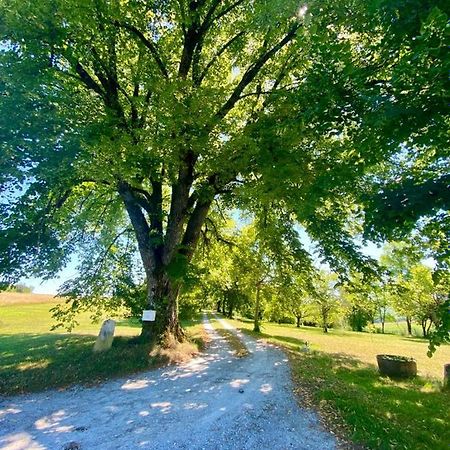 Gite De L'Edelinie Nanteuil-Auriac-de-Bourzac ภายนอก รูปภาพ