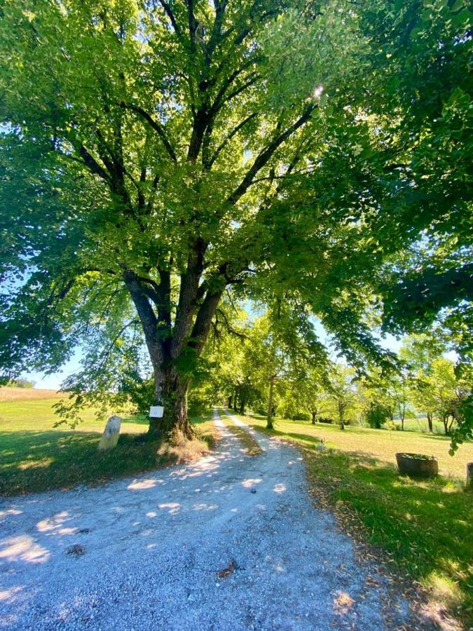 Gite De L'Edelinie Nanteuil-Auriac-de-Bourzac ภายนอก รูปภาพ